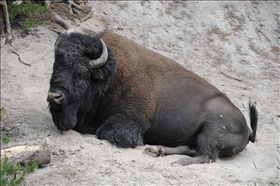 Yellowstone NP UNESCO